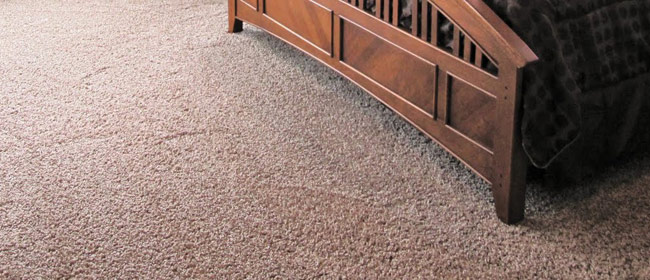 Carpet Installation Services